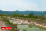سوغات بهاری رودخانه ماسال برای دریای خزر