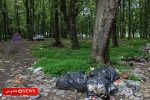 ریختن زباله در طبیعت و تاثیرات آن در نوروز در شهرهای گردشگری گیلان