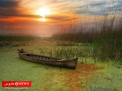 وضعیت تالاب انزلی؛ نگین سبز دریای خزر در معرض تهدید