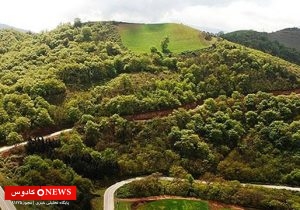 جنگل‌های هیرکانی، نگین سبز شمال ایران در معرض تهدید