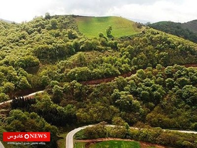 جنگل‌های هیرکانی، نگین سبز شمال ایران در معرض تهدید