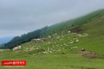 ییلاق لیه در سوگ شهید مصطفی سالاری!