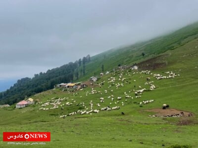 ییلاق لیه در سوگ شهید مصطفی سالاری!