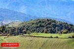 مراتع دامپروری گیلان و تلاش برای حفظ جنگل‌های هیرکانی؛ همزیستی انسان و طبیعت