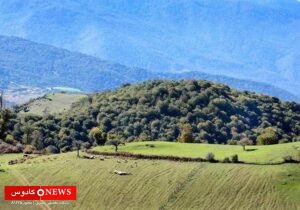 مراتع دامپروری گیلان و تلاش برای حفظ جنگل‌های هیرکانی؛ همزیستی انسان و طبیعت