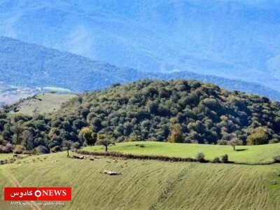 مراتع دامپروری گیلان و تلاش برای حفظ جنگل‌های هیرکانی؛ همزیستی انسان و طبیعت